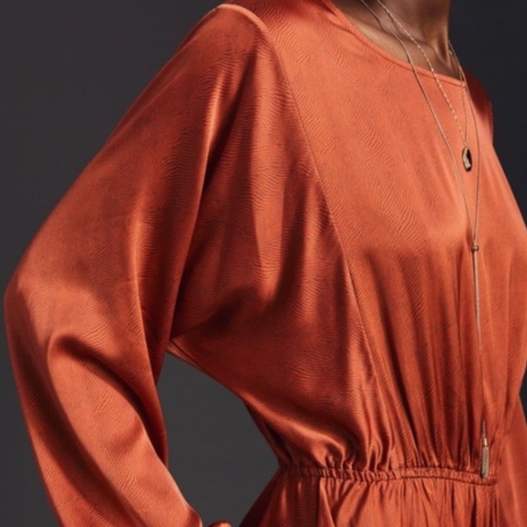 New With Tags Anthropologie Caballero Long-Sleeve Satin Animal Print Mini Dress - Picture 2 of 8